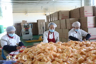 宁德产业援疆项目丰盛食品公司 带动呼图壁群众增收致富
