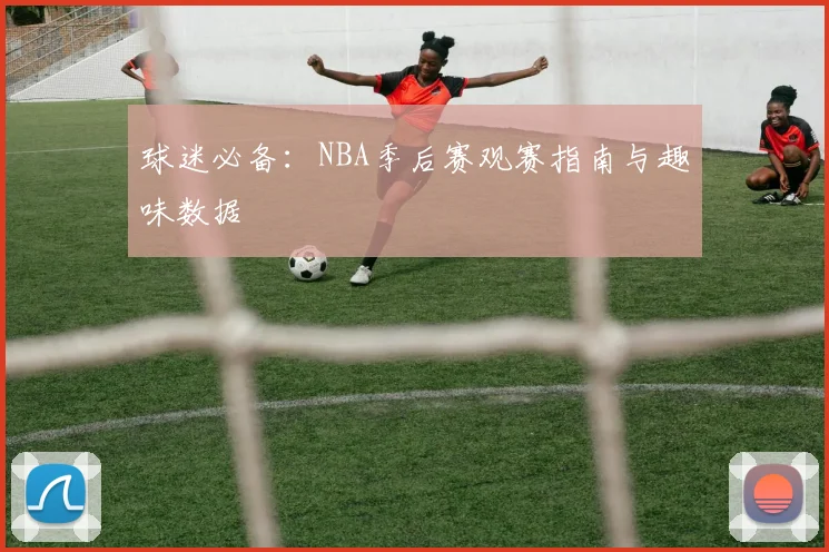 球迷必备:NBA季后赛观赛指南与趣味数据